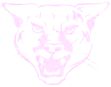  Panther logo 